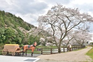 兵庫県神河町　現存する銀の馬車道
