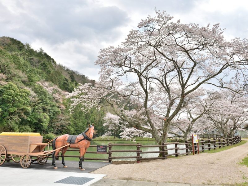 兵庫県神河町　現存する銀の馬車道